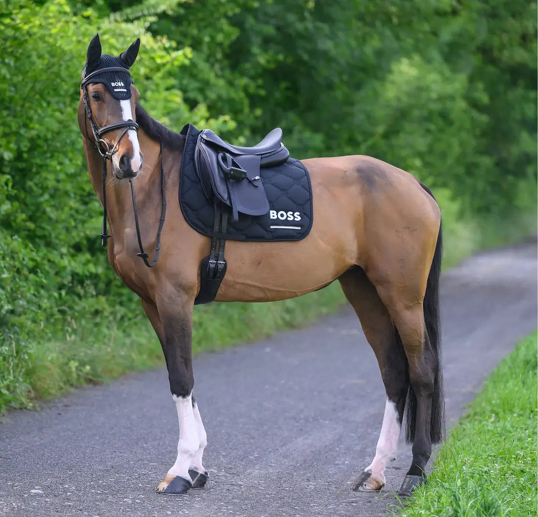 CAMBRIDGE SADDLE PAD DRESSAGE TAPE