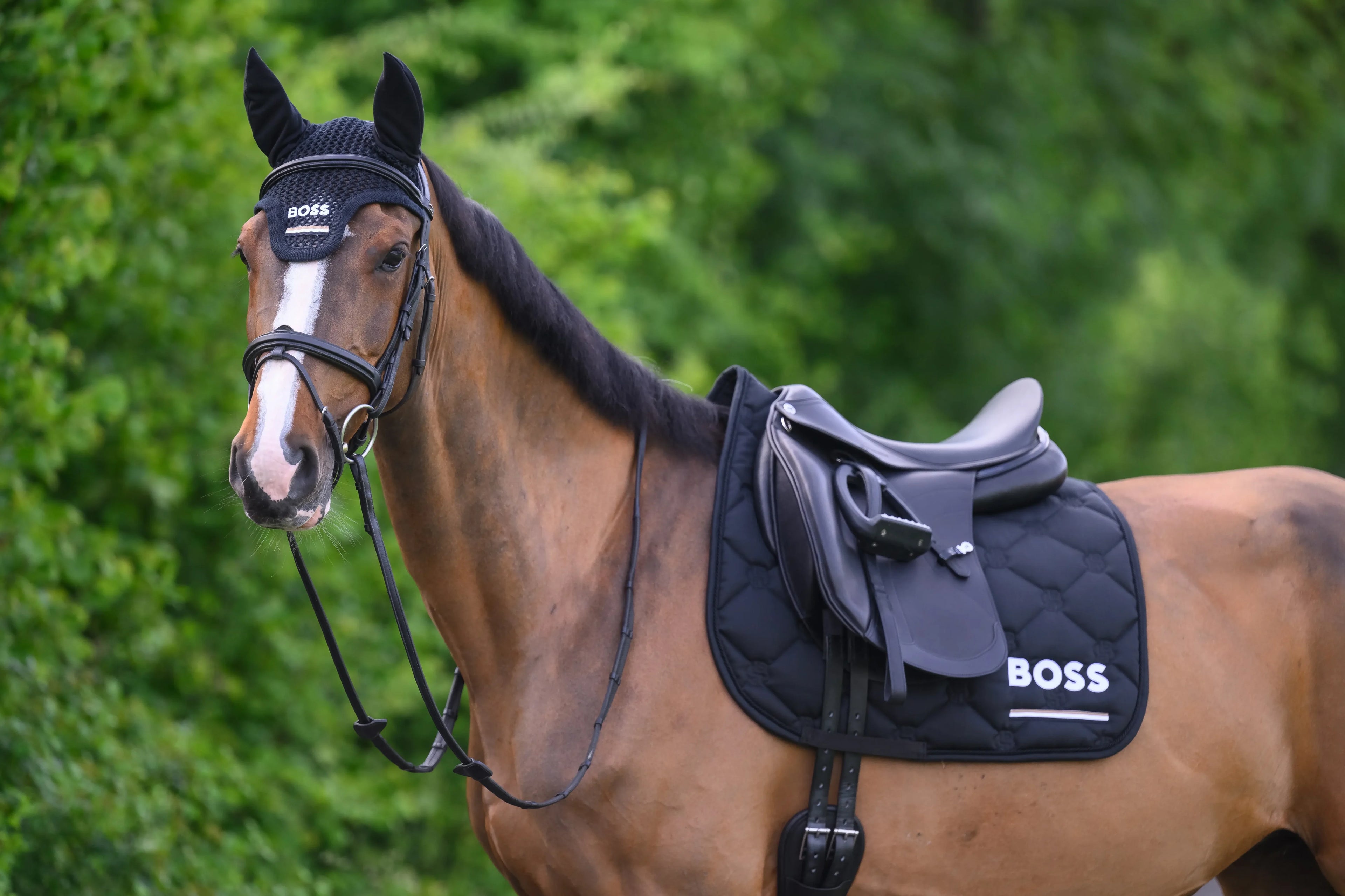 CAMBRIDGE SADDLE PAD DRESSAGE TAPE BLACK / ONESIZE